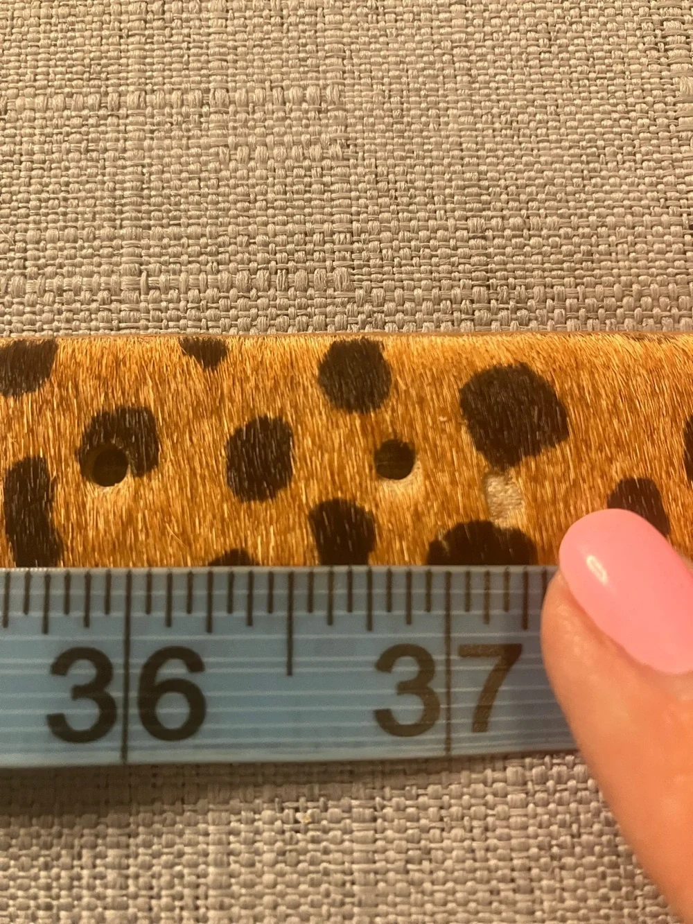 Talbots Leopard Spot Calf Hair Belt in Tan and Black with Gold-Tone D-Ring